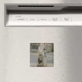 カミノデサンティアゴ マグネット (インサイチュ (食洗機))