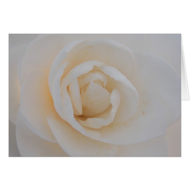 カミラの至福 (正面横)