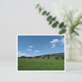 カミーノプリミティボ・デ・サンティアゴ(スペイン) ポストカード (スタンド正面)