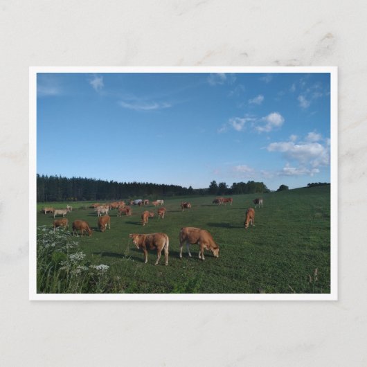 カミーノプリミティボ・デ・サンティアゴ（スペイン） ポストカード (正面)