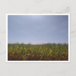 カミーノ・デ・サンティアゴ・デル・ノルテ（スペイン） ポストカード