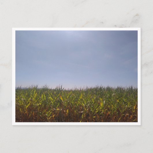 カミーノ・デ・サンティアゴ・デル・ノルテ（スペイン） ポストカード (正面)