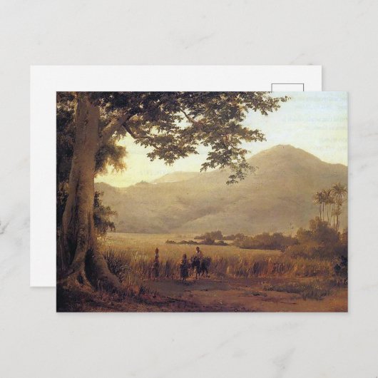 カミーユ・ピサロによるアンティーユの風景 ポストカード (正面/裏面)