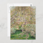 カミーユ・ピサロファインアート印象派カードGif ポストカード (正面/裏面)