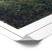 カミーユ・ピサロ・ゼディング・アート・ポスター#190-2 ポスター (角)