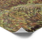 カミーリピサロ – ヘイアットエラグニー農家1889油 ポスター (角)