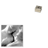 カミールクローデルキスヴェルトゥンヌスアンドポモナ ラバースタンプ (押印)