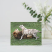 カムナザブ006 ポストカード (スタンド正面)