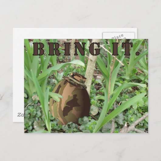 カムフラージュのイースターエッグ。 追跡で持って来て下さい シーズンポストカード (正面/裏面)