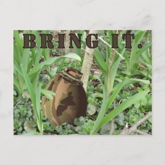 カムフラージュのイースターエッグ。 追跡で持って来て下さい シーズンポストカード (正面)