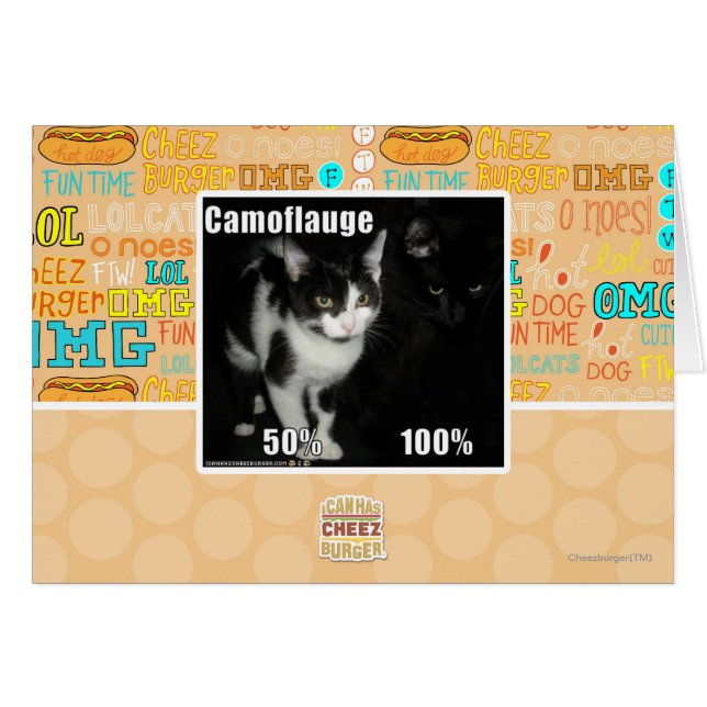 カムフラージュ (正面横)