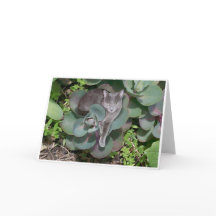 カムフラージュ