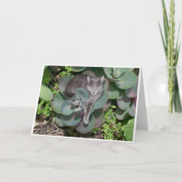 カムフラージュ カード