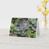 カムフラージュ カード (黄色い花)