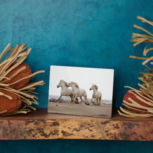 カムリグランニングウマビーチ フォトプラーク (側面)