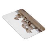 カムリグランニングウマビーチ マグネット (右側)