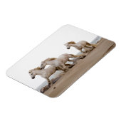 カムリグランニングウマビーチ マグネット (左側)