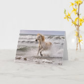 カムリグランニングホースのサーフ外 カード (黄色い花)