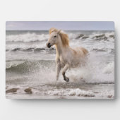 カムリグランニングホースのサーフ外 フォトプラーク (正面)