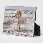 カムリグランニングホースのサーフ外 フォトプラーク (側面)