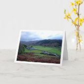 カム・ラン農場、スノードニア、北ウェールズ カード (黄色い花)