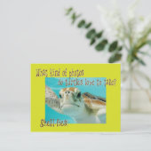 カメおもしろいのリズ子供へル ポストカード (スタンド正面)