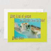 カメおもしろいのリズ子供へル ポストカード (正面/裏面)