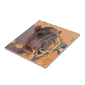 カメおもしろいル タイル (側面)