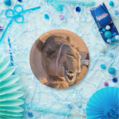 カメおもしろいル ペーパープレート (パーティー)