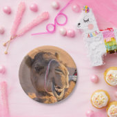 カメおもしろいル ペーパープレート (パーティー)