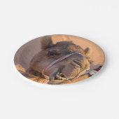 カメおもしろいル ペーパープレート (アングル)