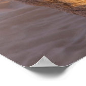 カメおもしろいル ポスター (角)