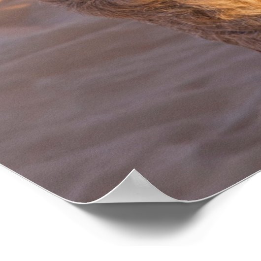 カメおもしろいル ポスター (角)