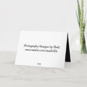 カメおもしろい誕生日 カード (裏面)