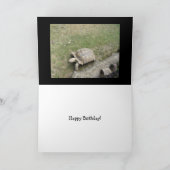 カメおもしろい誕生日 カード (内部)