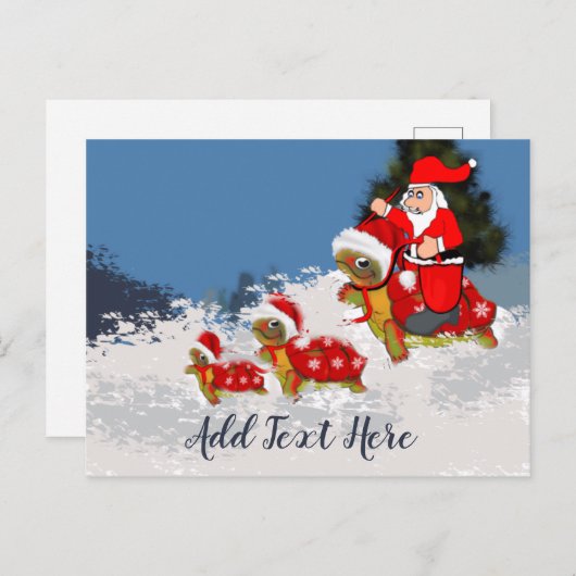 カメそり ポストカード (正面/裏面)