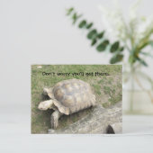 カメとことわざ ポストカード (スタンド正面)