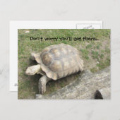 カメとことわざ ポストカード (正面/裏面)