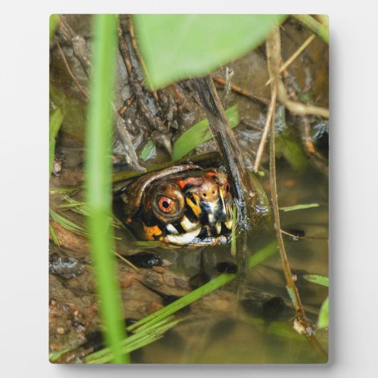 カメとトガリナ フォトプラーク (正面)