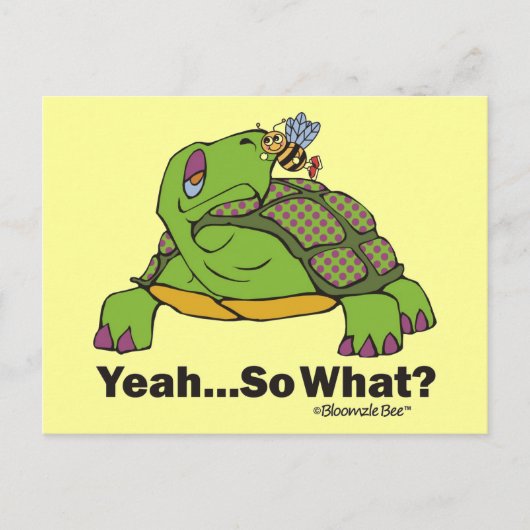 カメとビー ポストカード (正面)