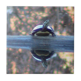 カメによって反映される装飾的なタイル タイル