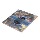 カメによって反映される装飾的なタイル タイル (側面)