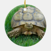カメのオーナメント セラミックオーナメント (裏面)