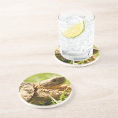 カメのコースター コースター (側面)