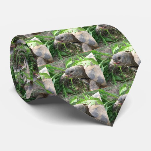 カメのタイ ネクタイ (ロール)