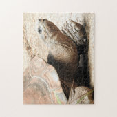 カメのパズル ジグソーパズル (縦)