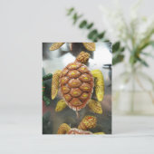 カメのマグネット ポストカード (スタンド正面)