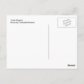 カメのマグネット ポストカード (裏面)