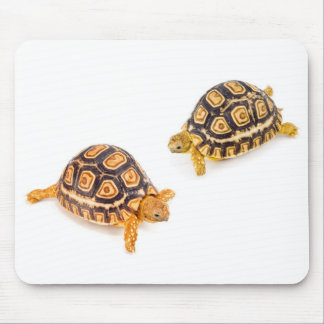 カメの会うこと マウスパッド