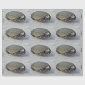 カメの写真 ラッピングペーパー (フラット)